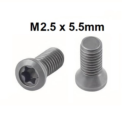 Spare M2.5 x 5.5 Insert Screw